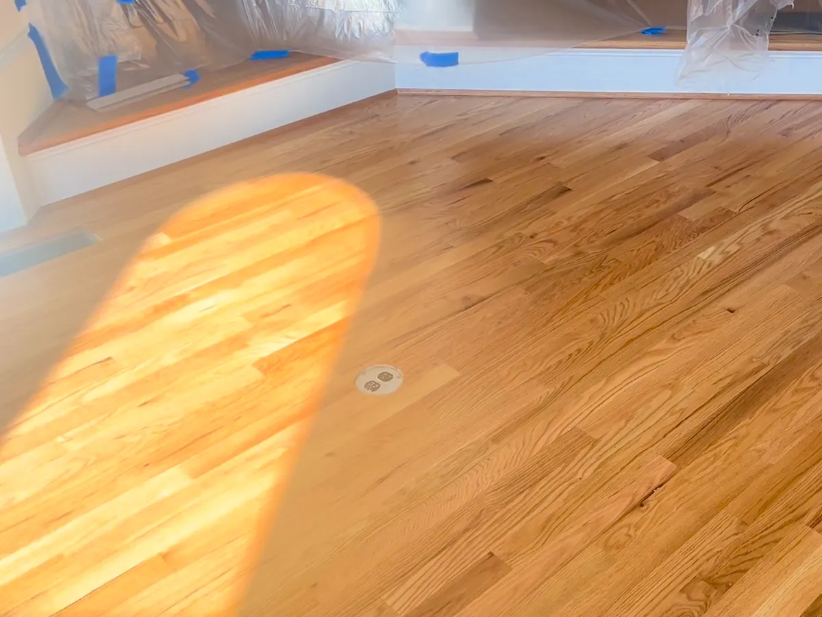 A finished hardwood floor catching the afternoon light